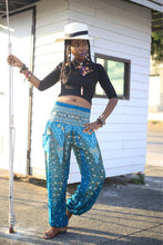 Load image into Gallery viewer, Harem Pants