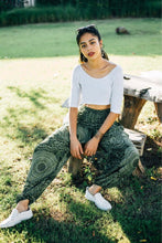 Load image into Gallery viewer, Harem Pants