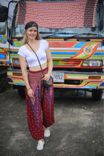Load image into Gallery viewer, Harem Pants

