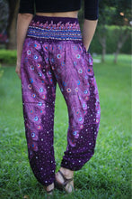 Load image into Gallery viewer, Harem Pants
