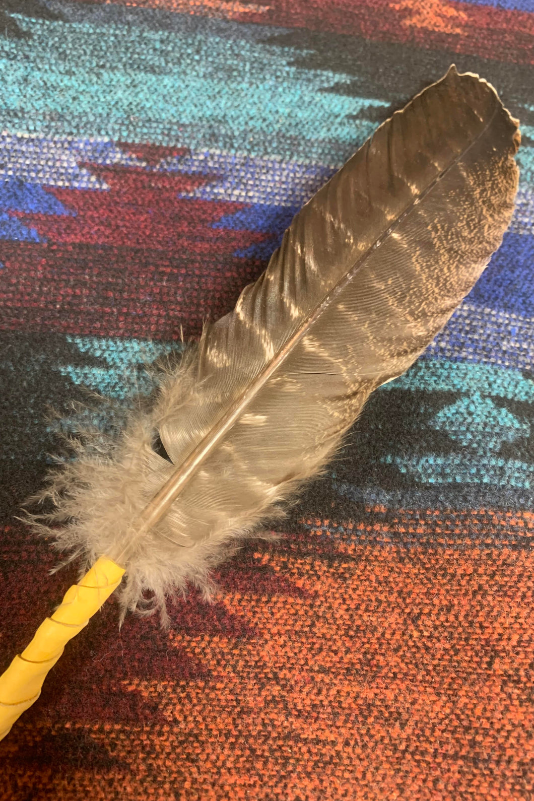 Turkey Smudging Feather